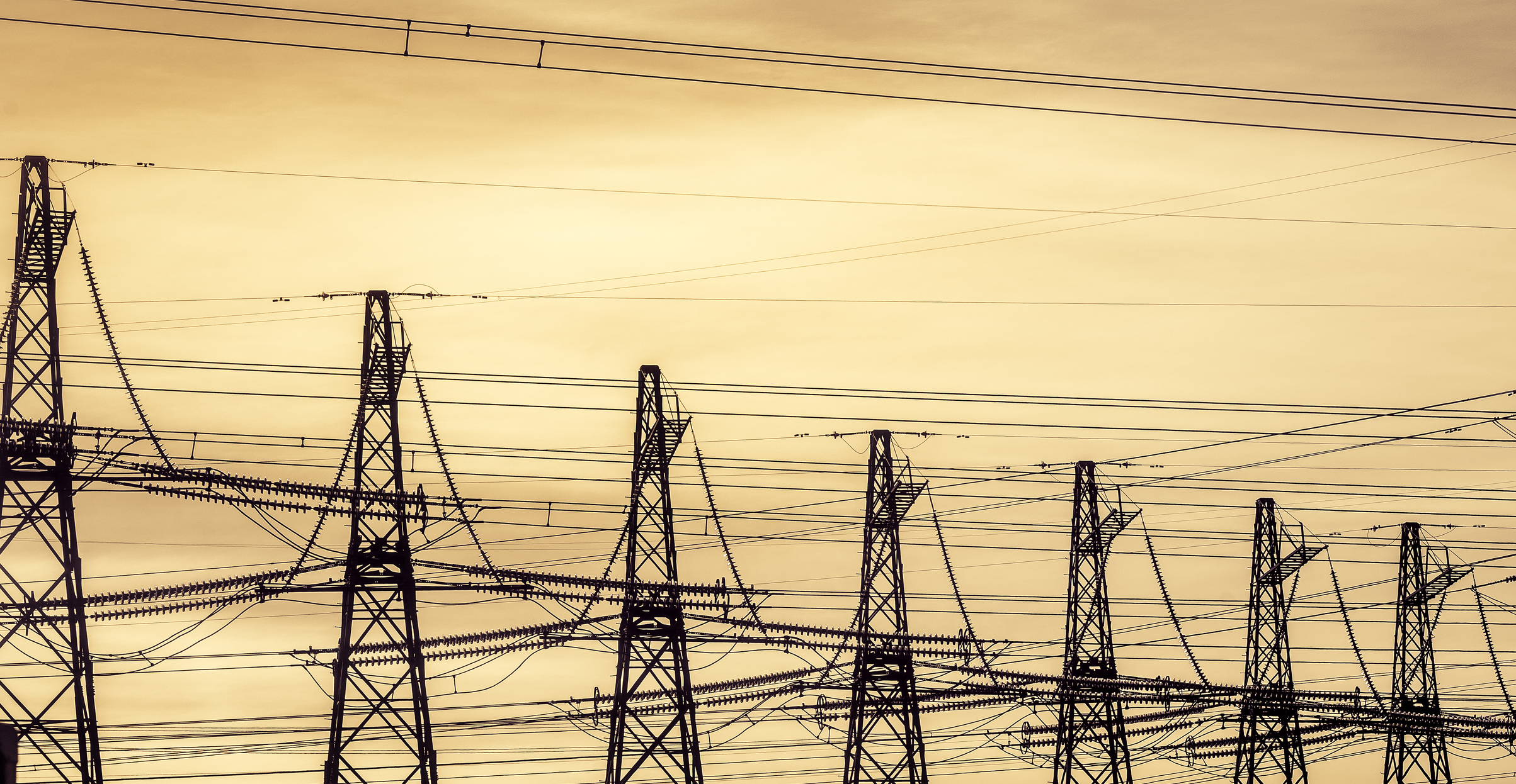 Wat is netcongestie en waarom is het juist nu verstandig om een thuisbatterij aan te schaffen?